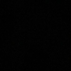 Meet your Posher, Rudi